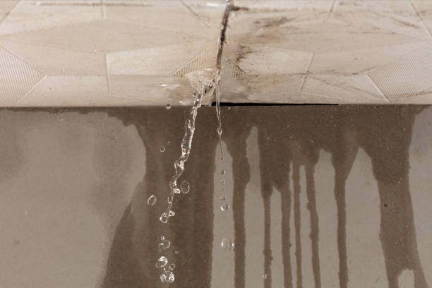 Professional Flood Damage Cleanup technician working in Coalton, OH